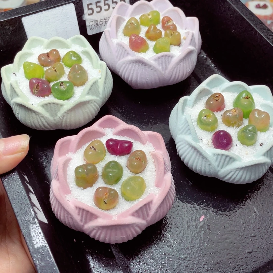 w55555莲花速干盆毛毛 一份一盆量拍