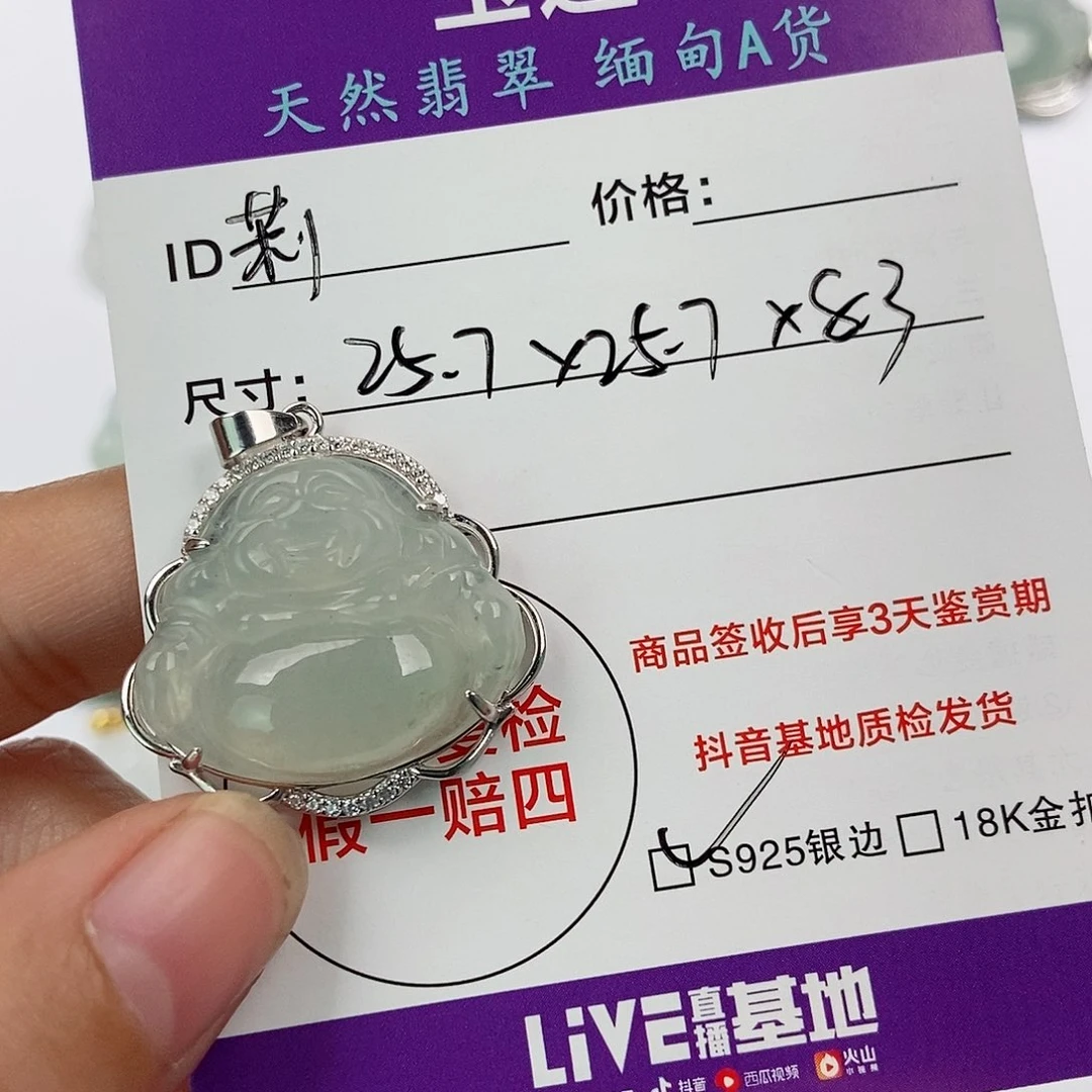 翡翠颈饰银S925镶嵌莉*宝翡翠