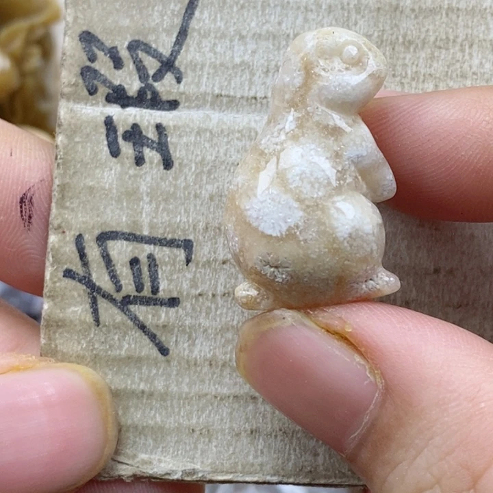 颈饰未镶嵌硅化珊瑚（珊瑚玉）1****5