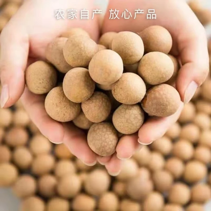 【买一斤送一斤】农家桂圆干中果香甜可口推荐煮粥煲汤