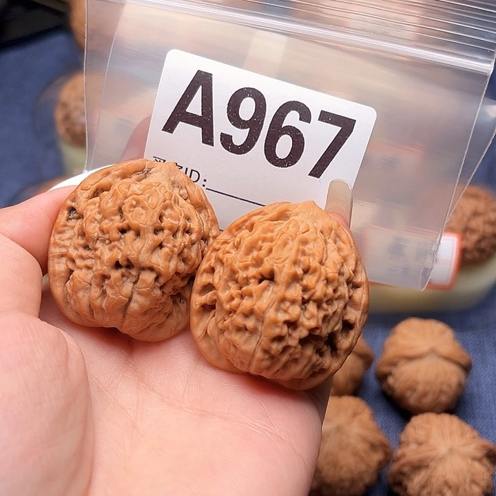 核桃T**✨文玩文玩文玩967