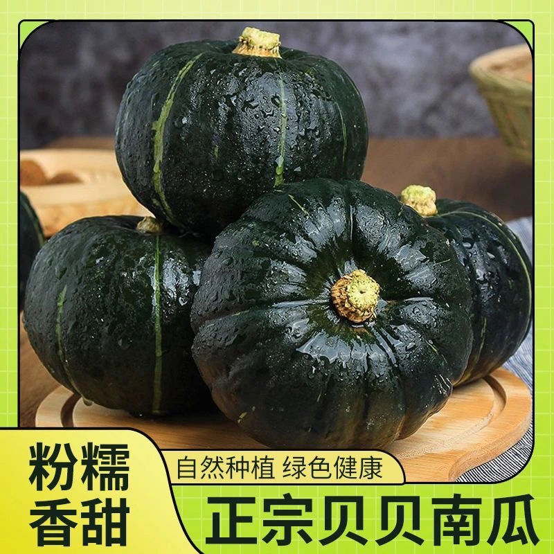 内蒙正宗沙漠贝贝南瓜板栗味真贝贝新鲜粉糯婴儿辅食身材管理辅食