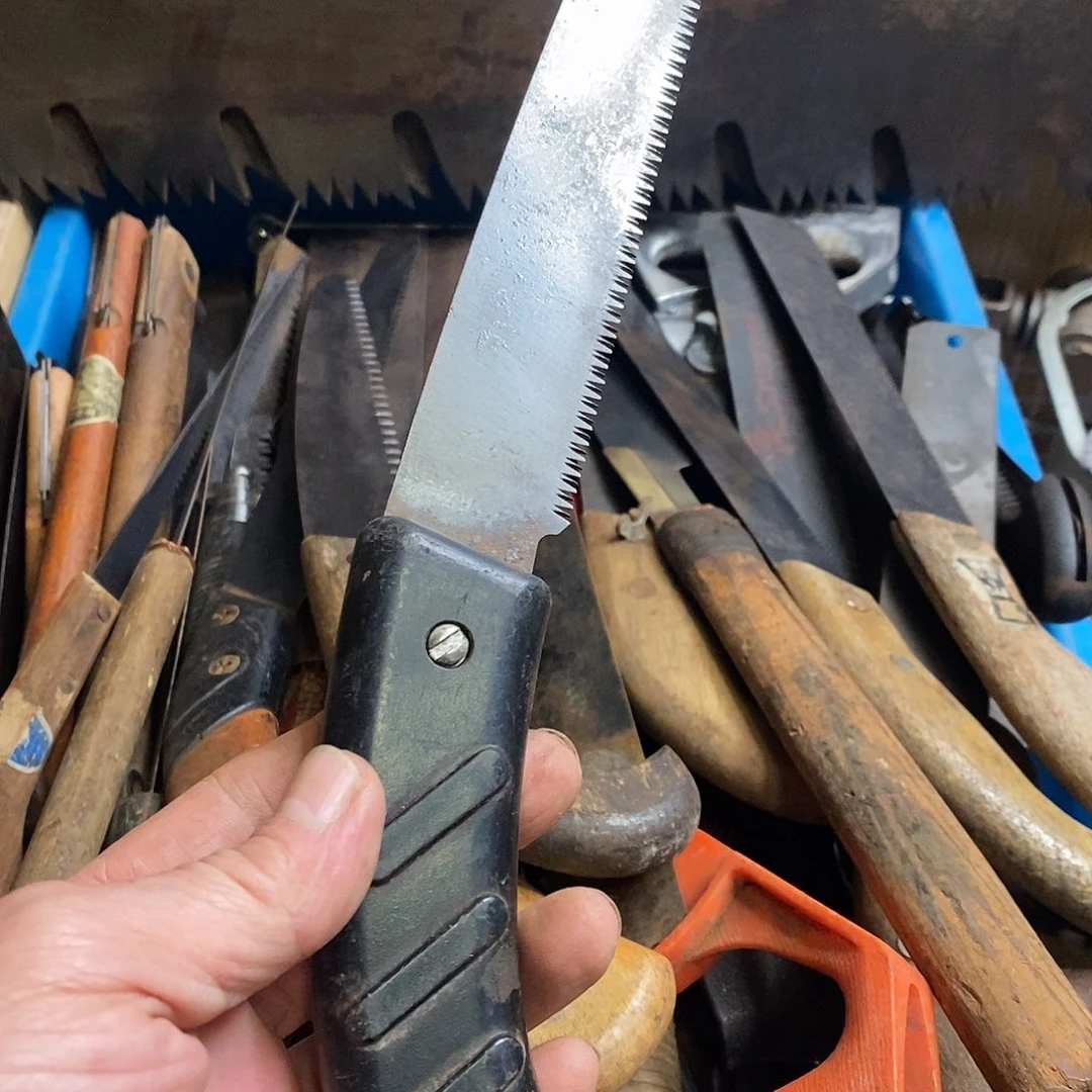 锯子哈哈哈哈哈哈哈哈哈哈