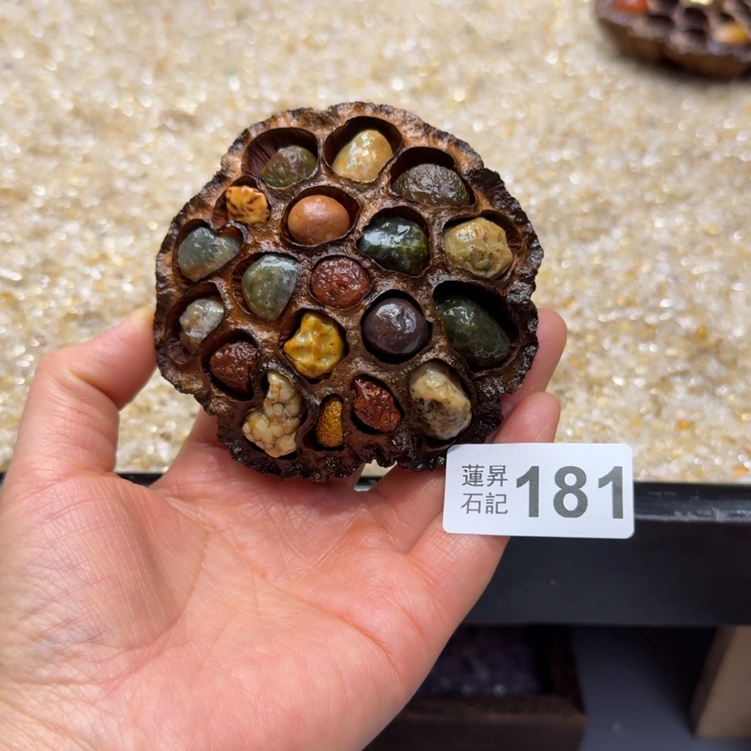 *****181莲蓬摆件莲蓬摆件