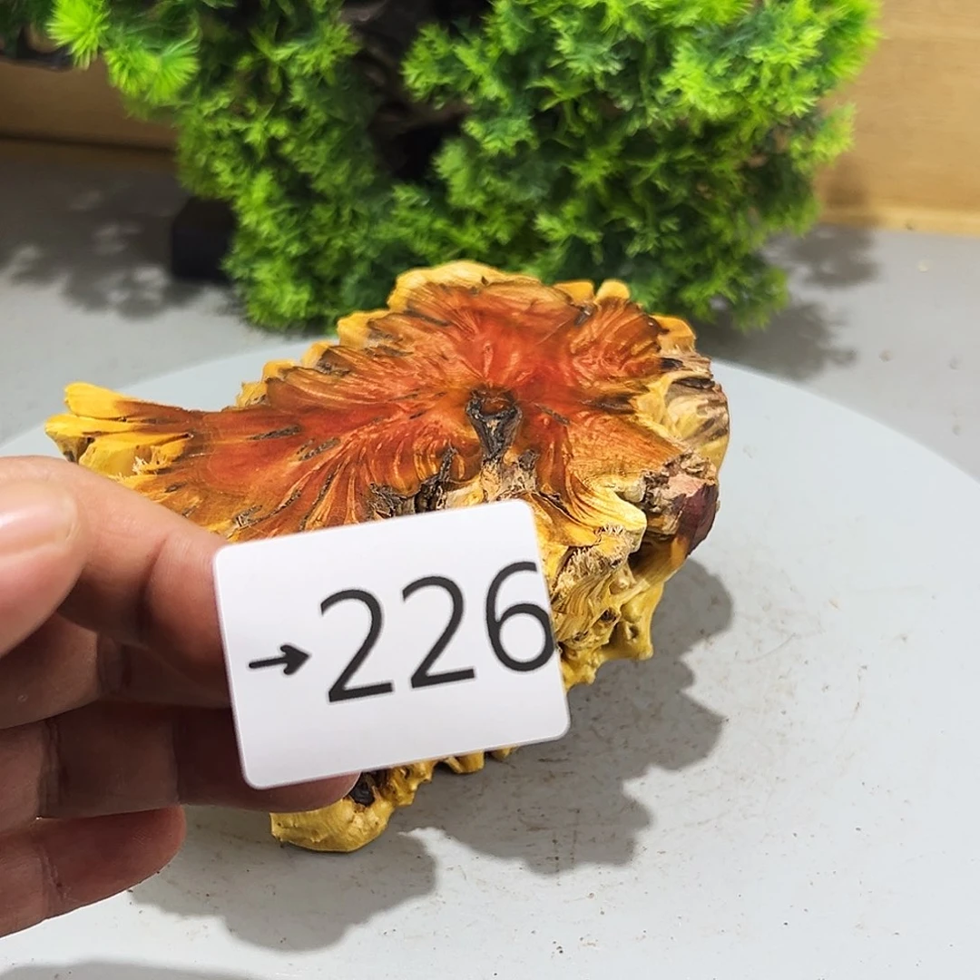 香榧木回*火琉璃……