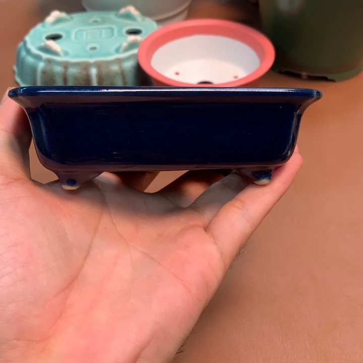 的微博视频我想要看