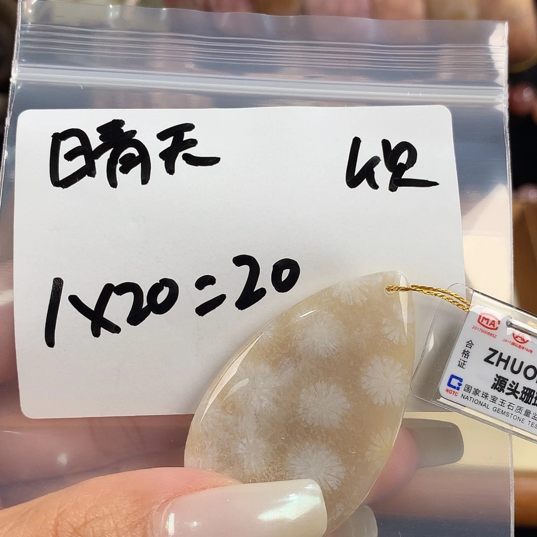 今***天吊坠(赠链)未镶嵌硅化珊瑚（珊瑚玉）