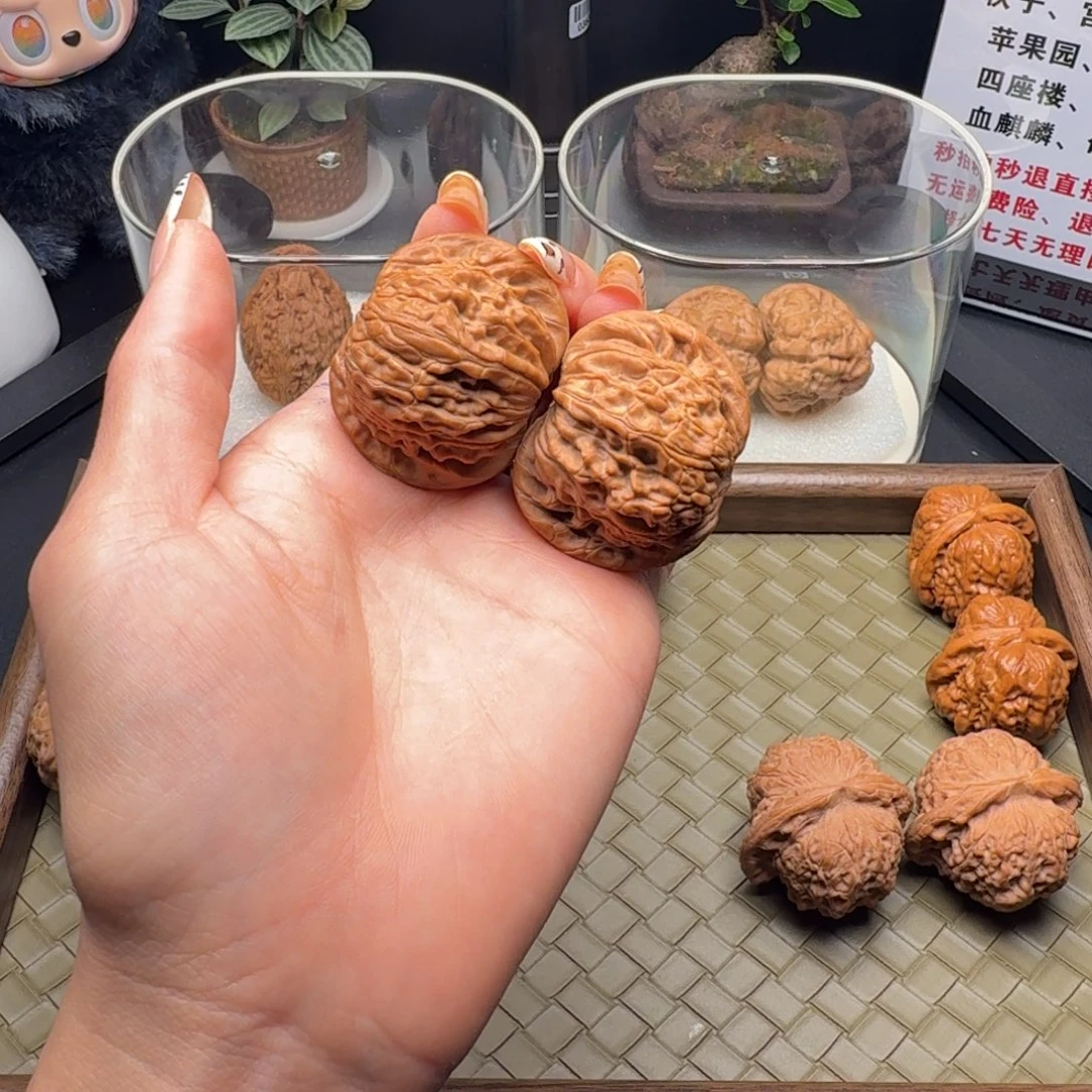 龙脊菩提吊坠磨盘全品