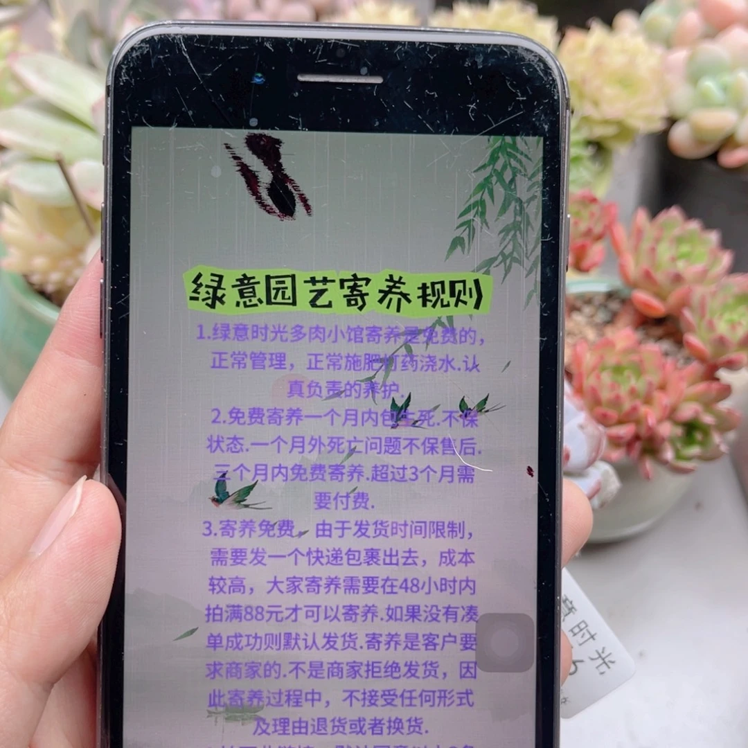 j***o绿意时光寄养链接
