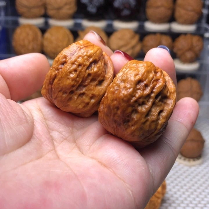 文玩核桃把件7龙脊妖蟾37尺