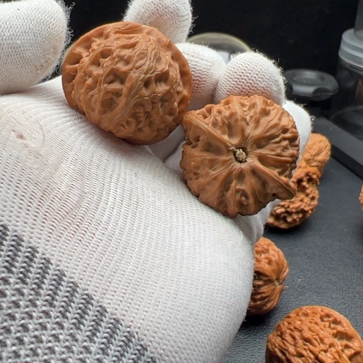 文玩核桃把件37小肉灯