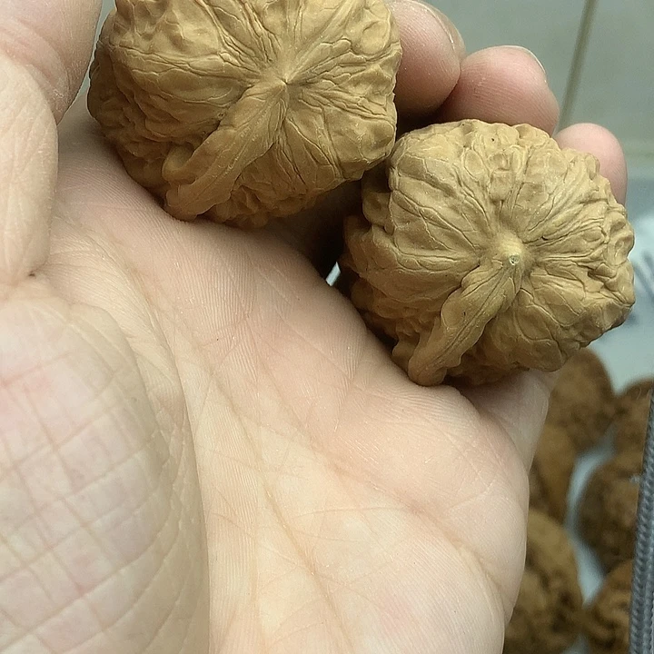 吊坠文玩核桃40 一帆风顺