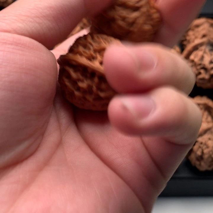 其他核桃沐*秦岭山脉和黄土高原