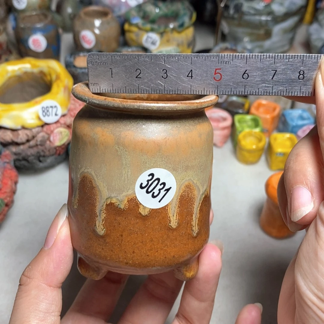 拍5送一个小礼物