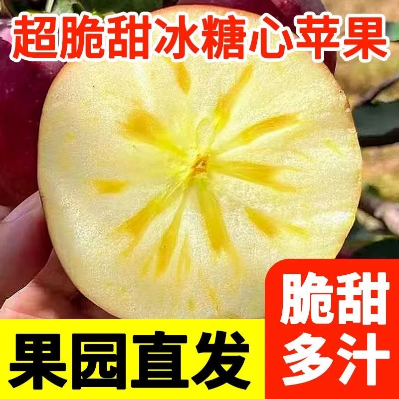 CW山西运城丑苹果膜袋红富士脆甜苹果应季节新鲜水果