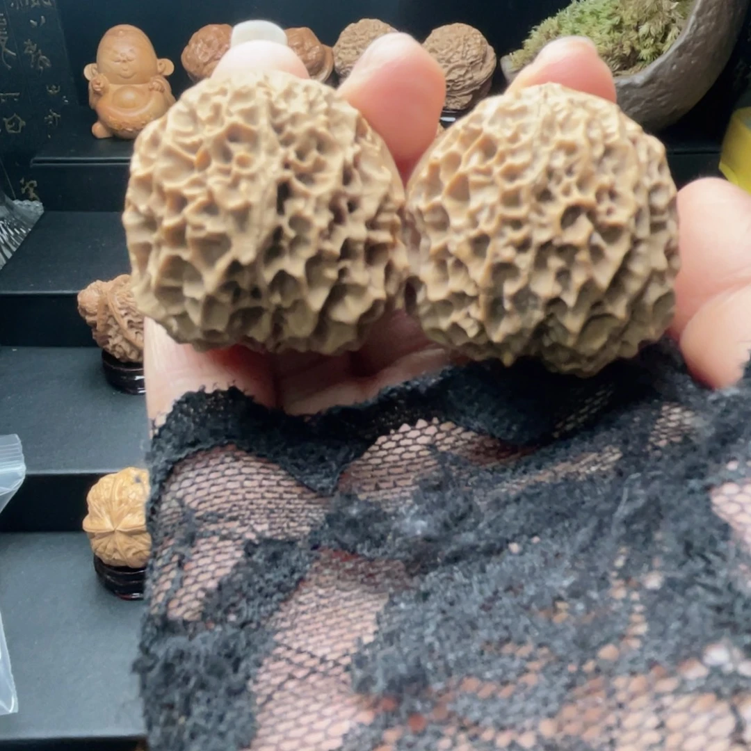 臻龙球…………福利待