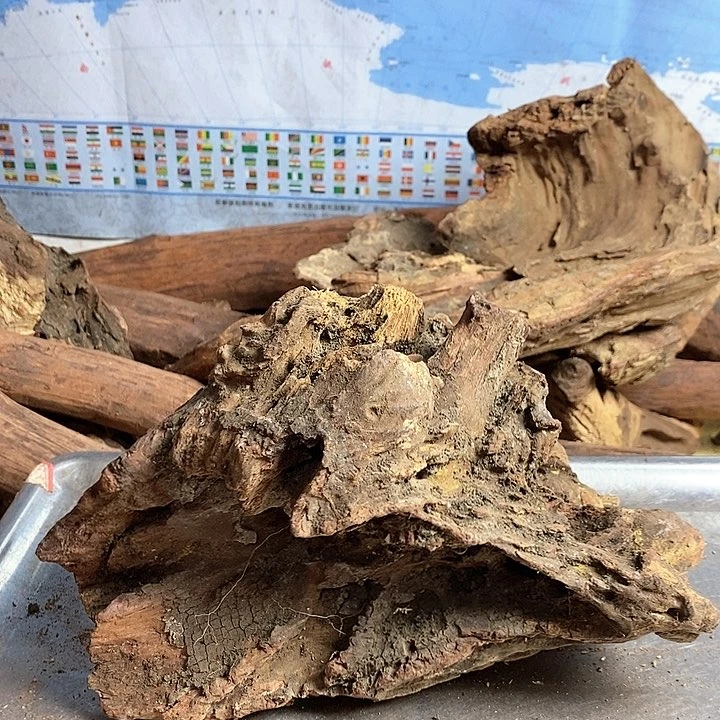 花梨木类遂*海南黄花梨