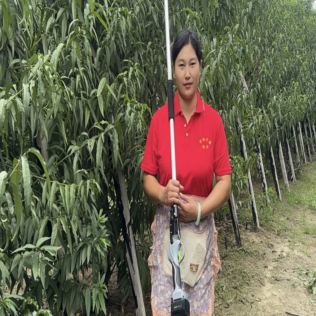 新款舒畅8608剪刀，省力，好用