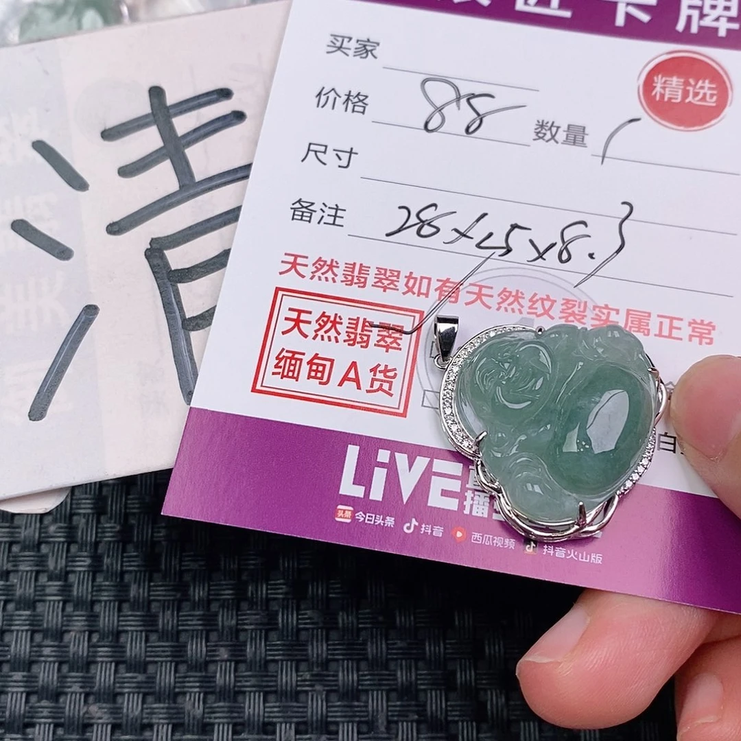 翡翠银S925镶嵌颈饰