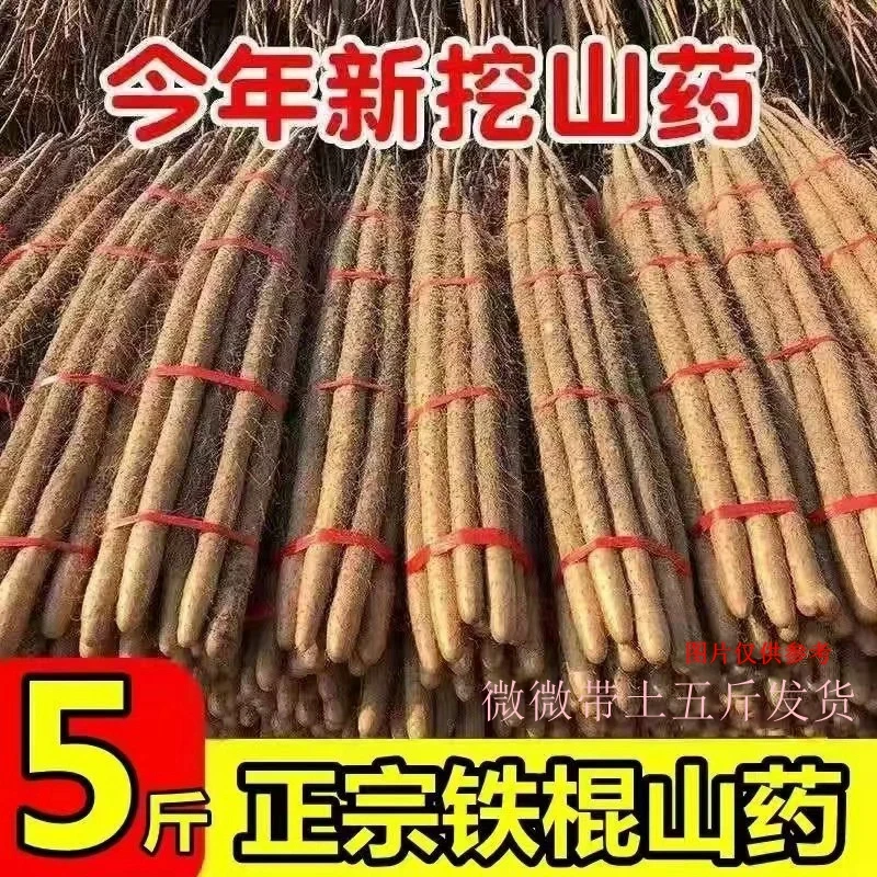 精品大果正宗铁棍山药粉糯甜宝宝辅食蔬菜批发香甜带土