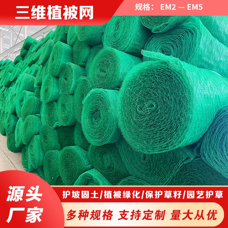 植草网园林绿化植草垫 河道护坡植被网 多层三维网 绿色土工网垫