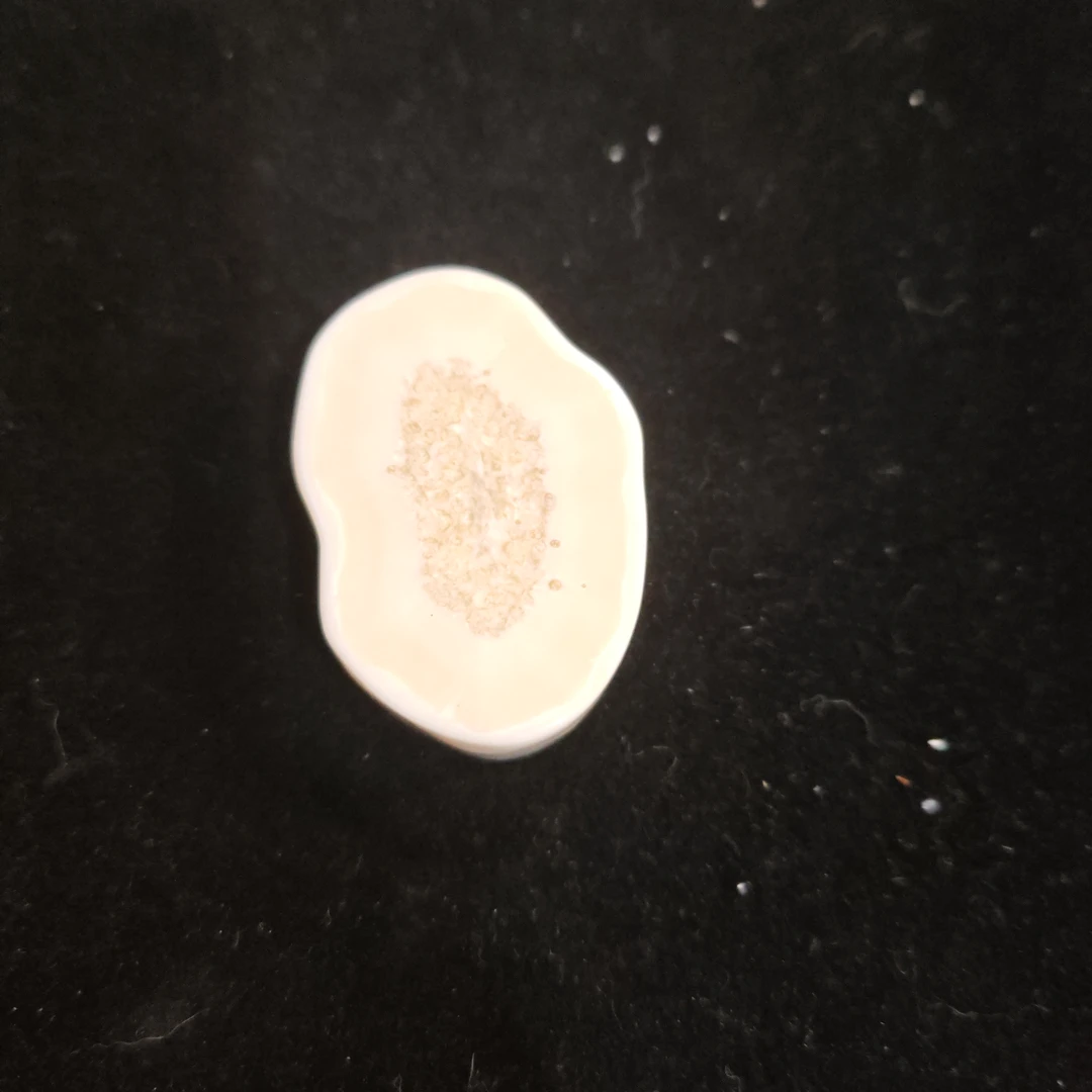 猛犸猛犸虬饼子WW865
