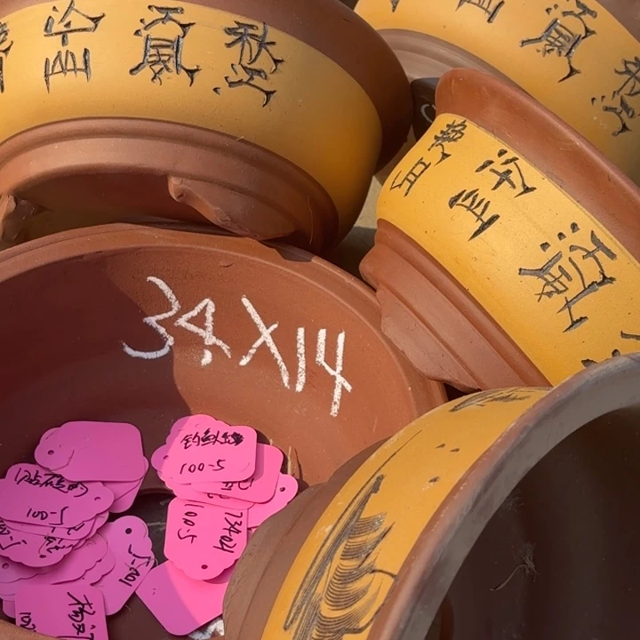 紫砂花盆100-5。