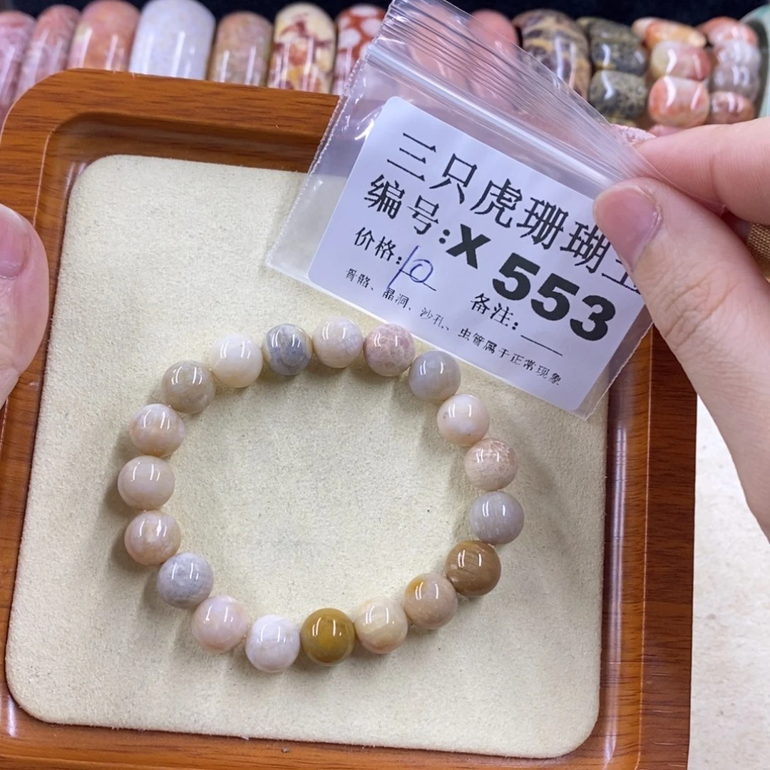 硅化珊瑚（珊瑚玉）1未镶嵌米*