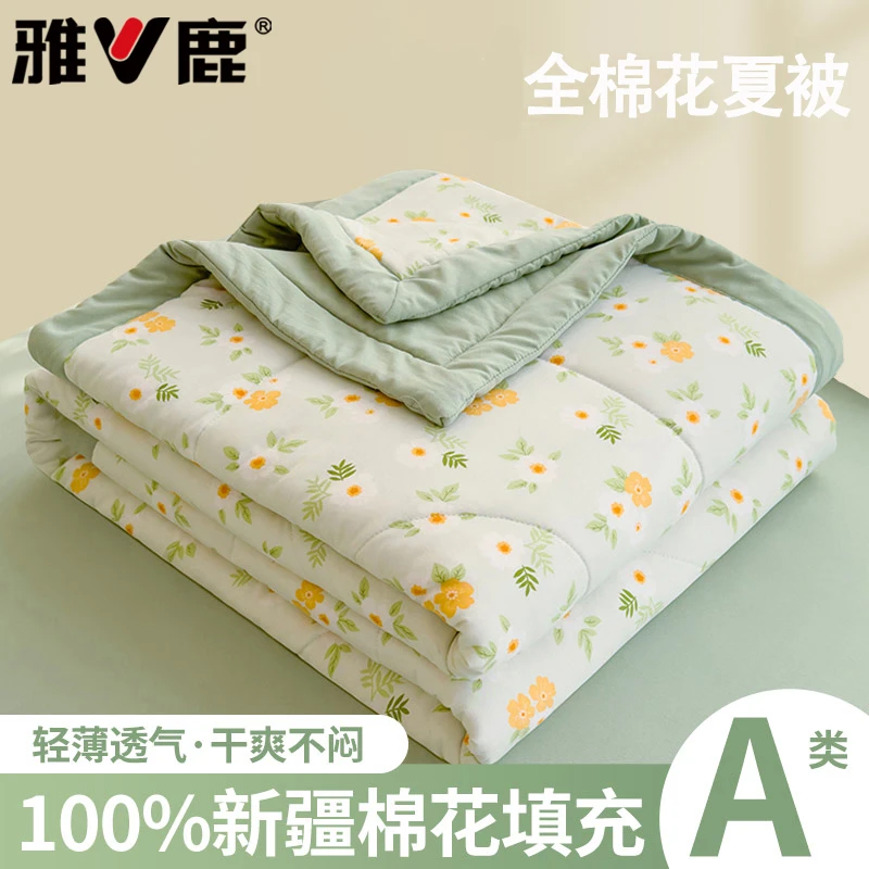 V/雅鹿夏季棉花夏凉被空调被水洗棉薄被子被芯可水洗单人学生夏被