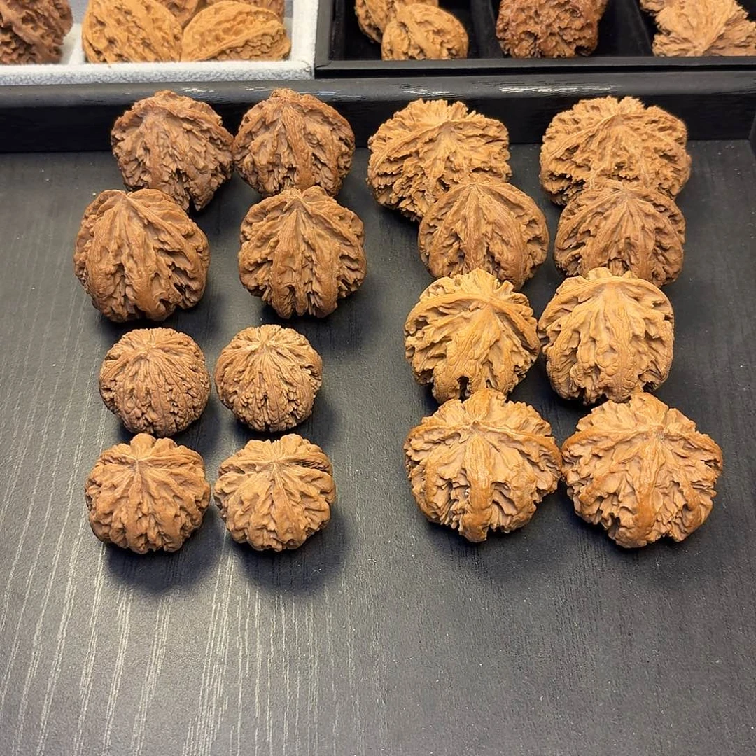 核桃突突突突突突突突突突突突突突