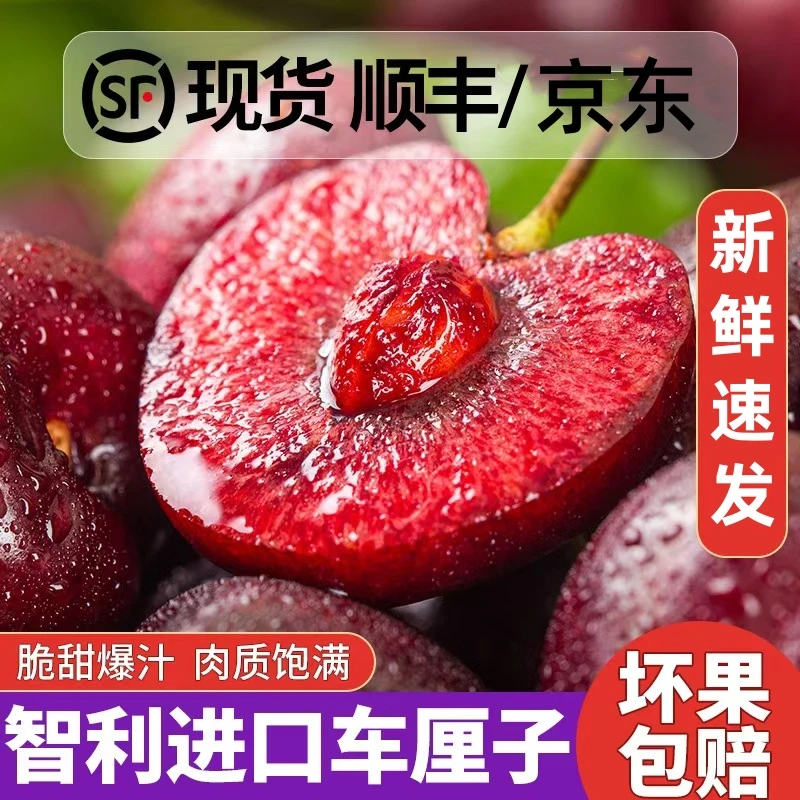253智利进口车厘子 瑞吉娜5新鲜水果斤J~4J海运大樱桃 内附果径卡