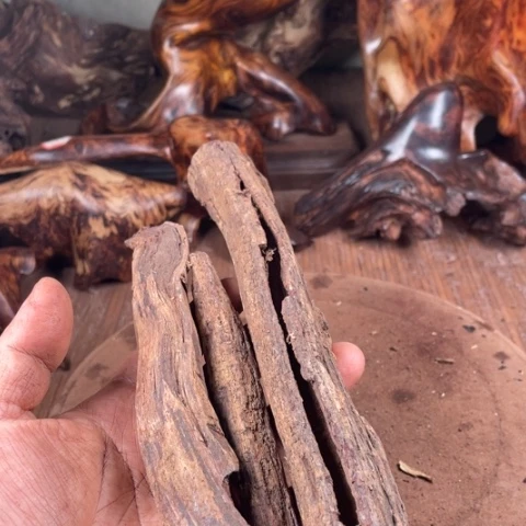 黄花梨/降香黄檀陌*