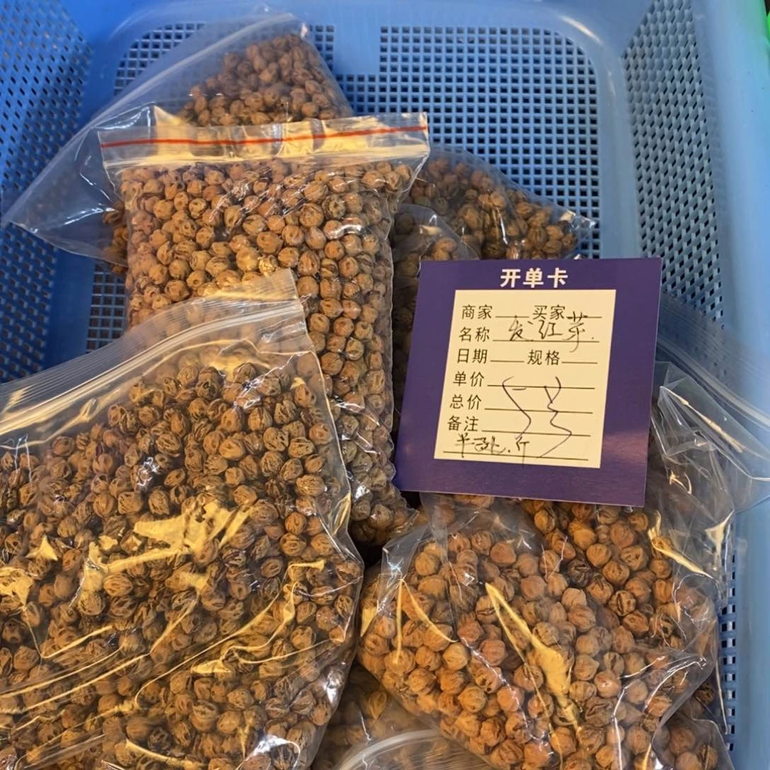 柏香籽/百香籽吊坠5，红芽