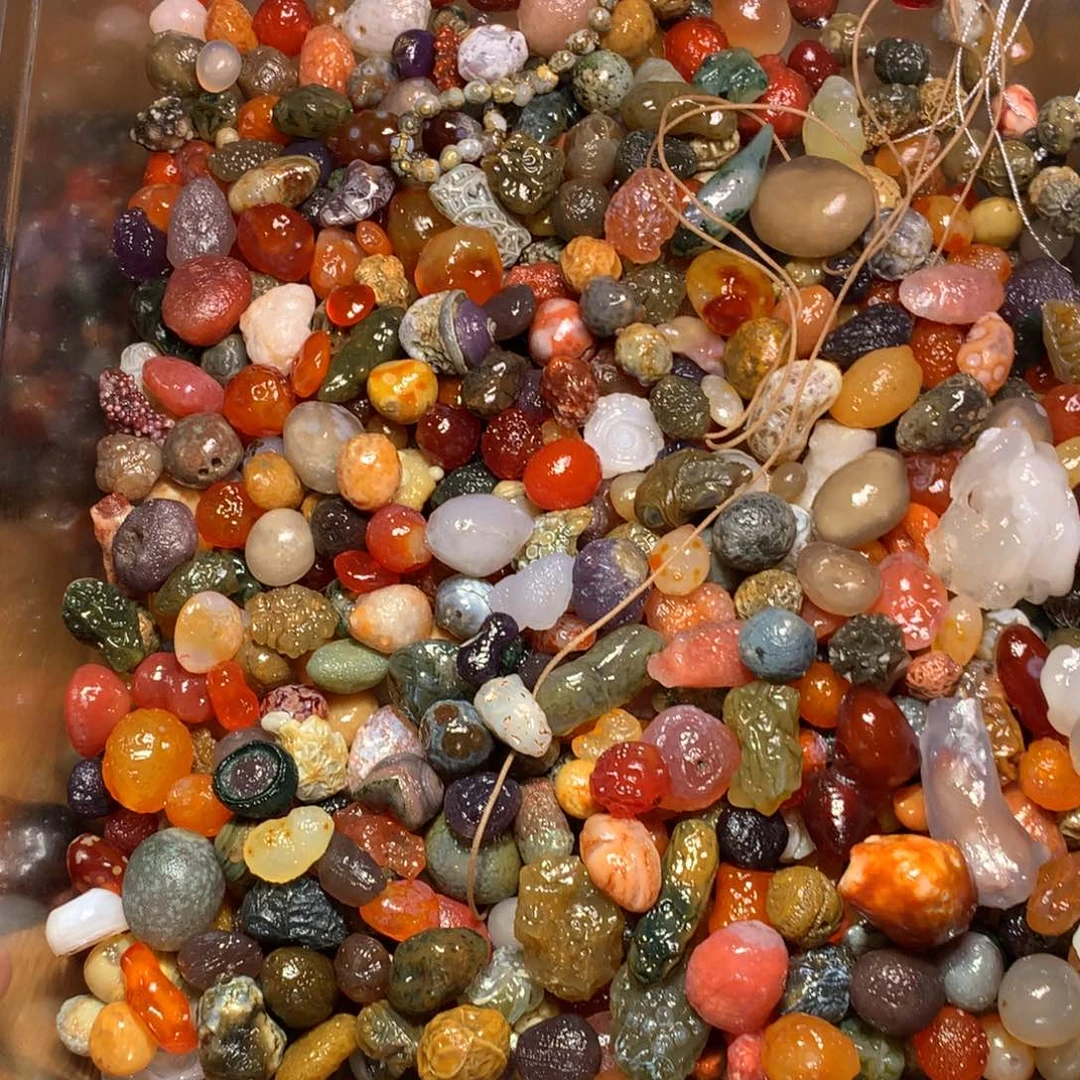 石头石头多宝多宝