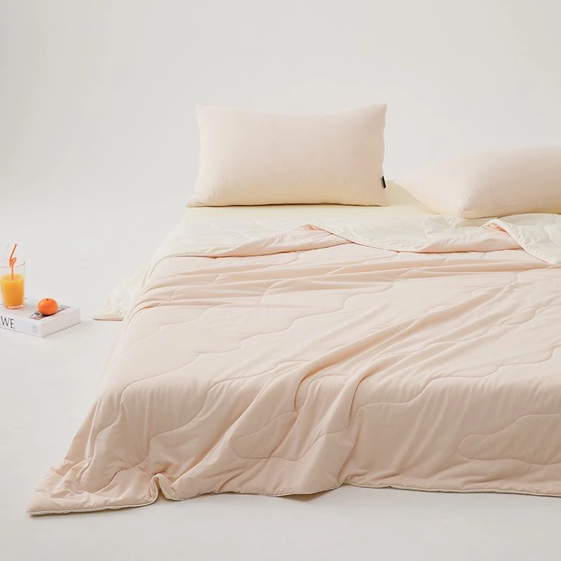 【LV露推荐】2025春夏季新品天雪丝双感夏被/可水洗薄被子