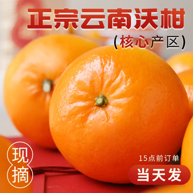 正宗云南沃柑新鲜桔子水果橘子当季皇帝蜜柑橘砂糖桔包邮橙子