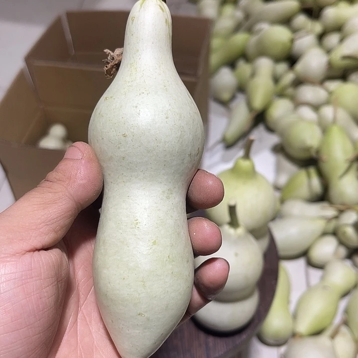 非洲紫檀（红花梨）用****淡