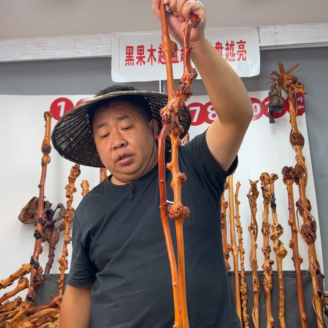 碧***莎黑果木其他黑果木816