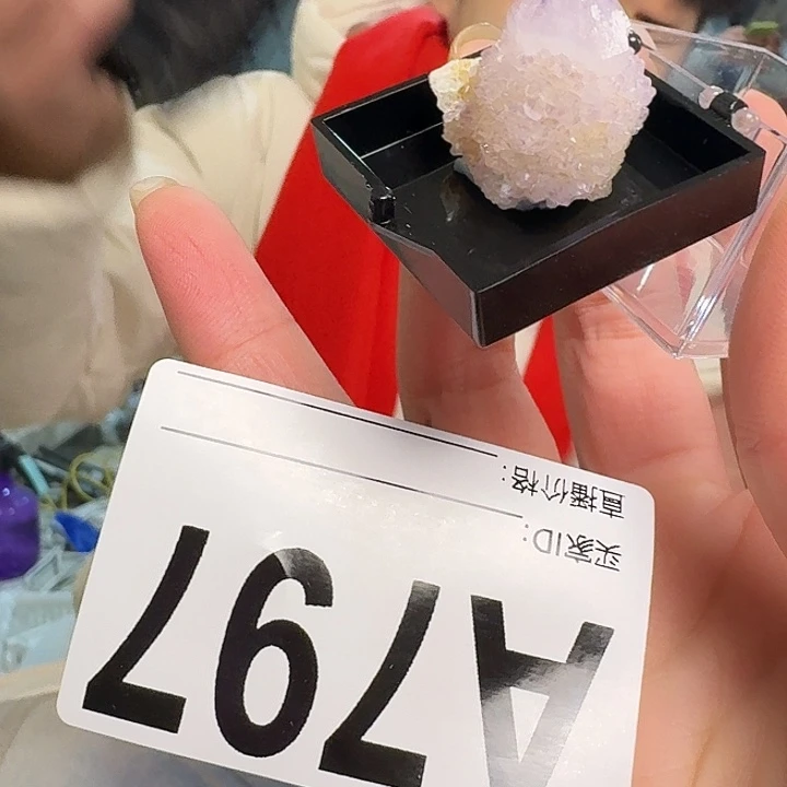 水晶仙人掌未镶嵌