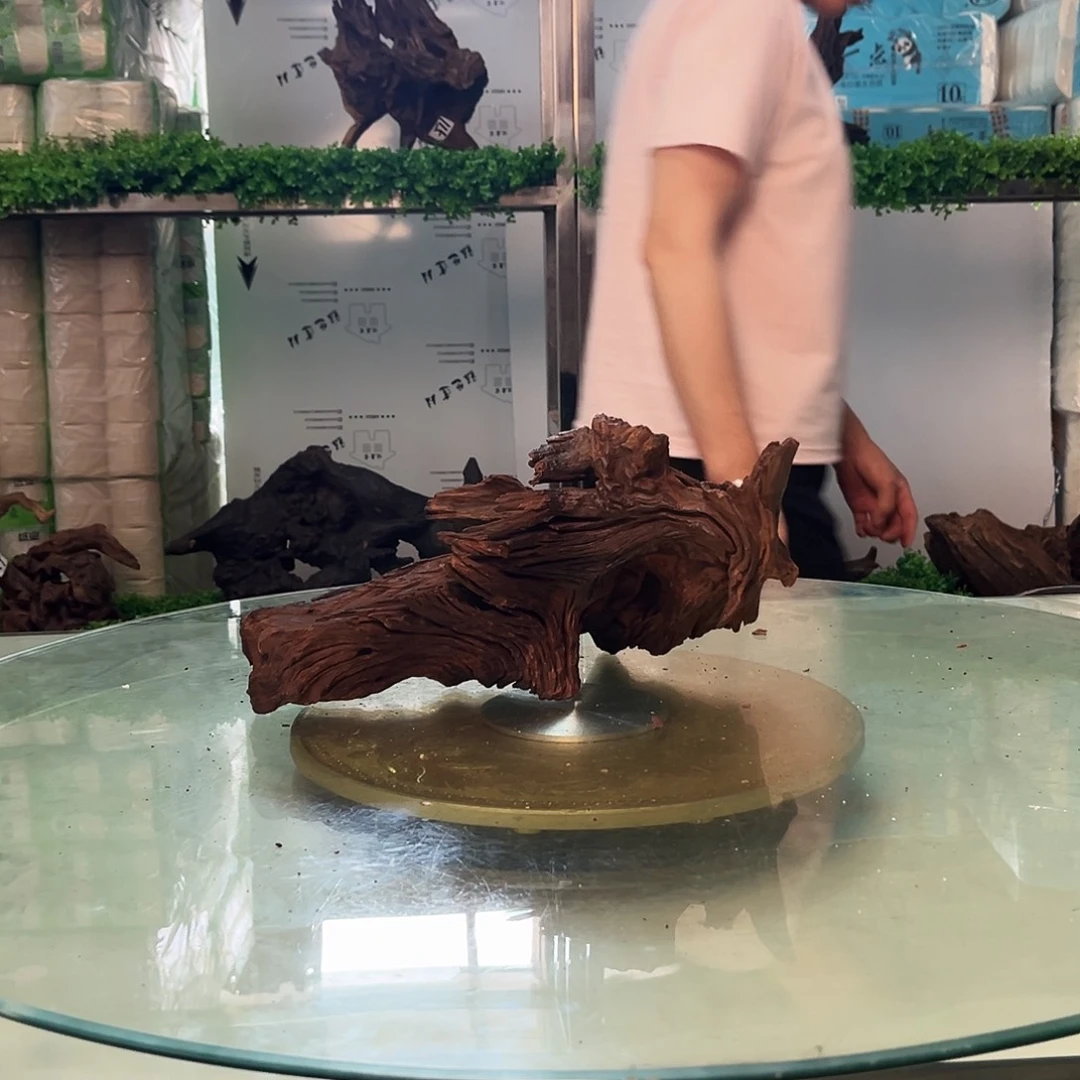 柚木沉木鱼缸造景