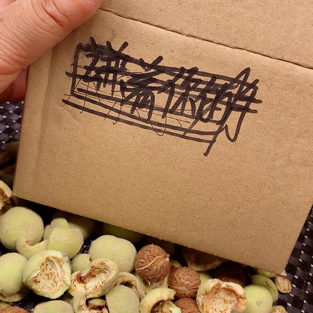 屿***静桃核手串老树纽扣1.7