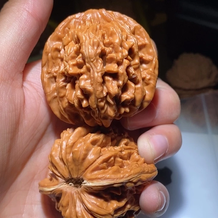 孙***文吊坠文玩核桃精品课程和专业培训教材以及