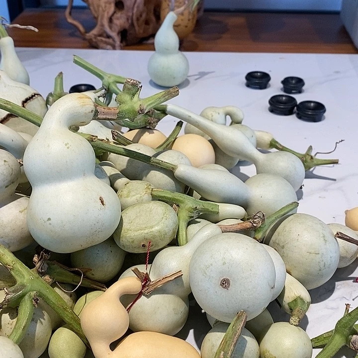 用****7精品葫芦手把葫芦50