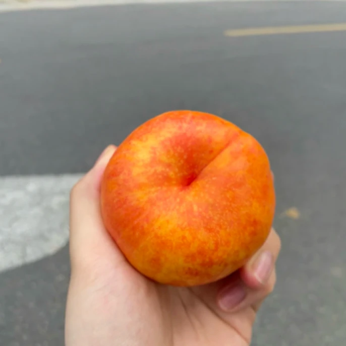 黄金油蟠桃（超级好吃)一斤左右云南省