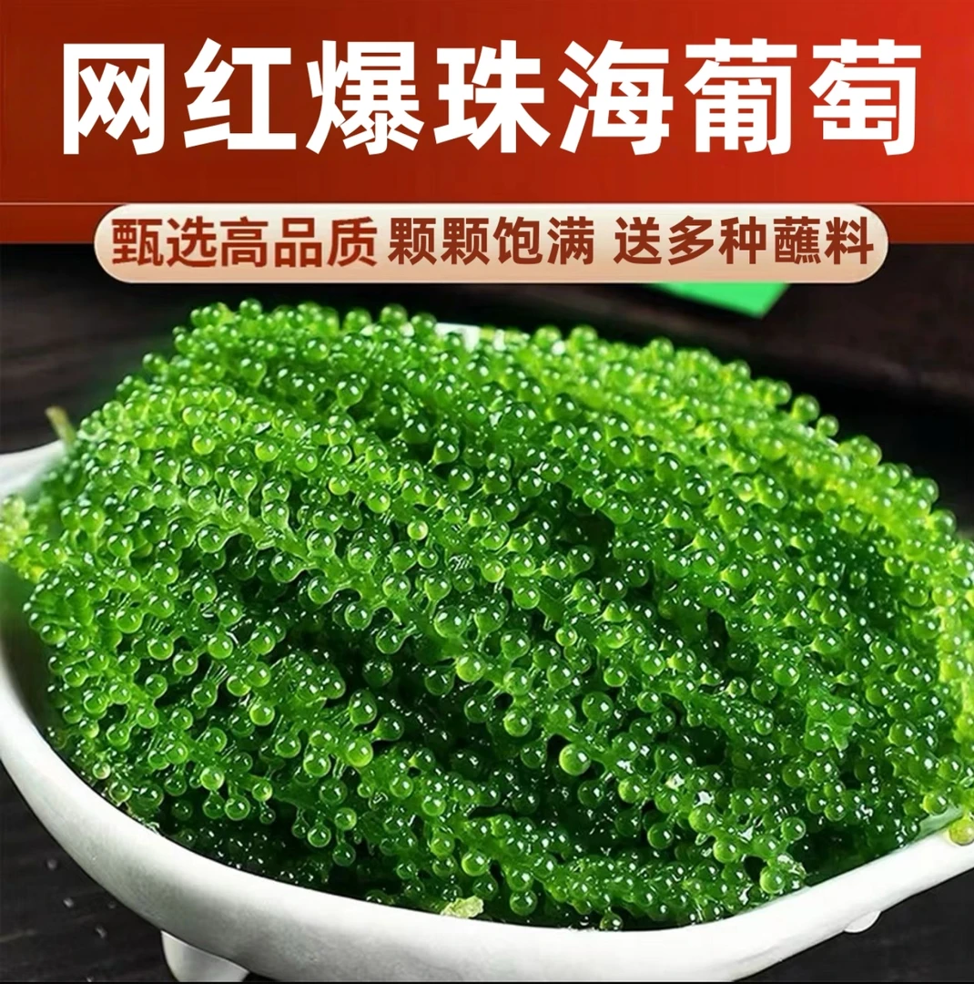 昭苑食用海葡萄绿色鱼子酱即食泡发儿童零食新鲜盐渍海藻海带