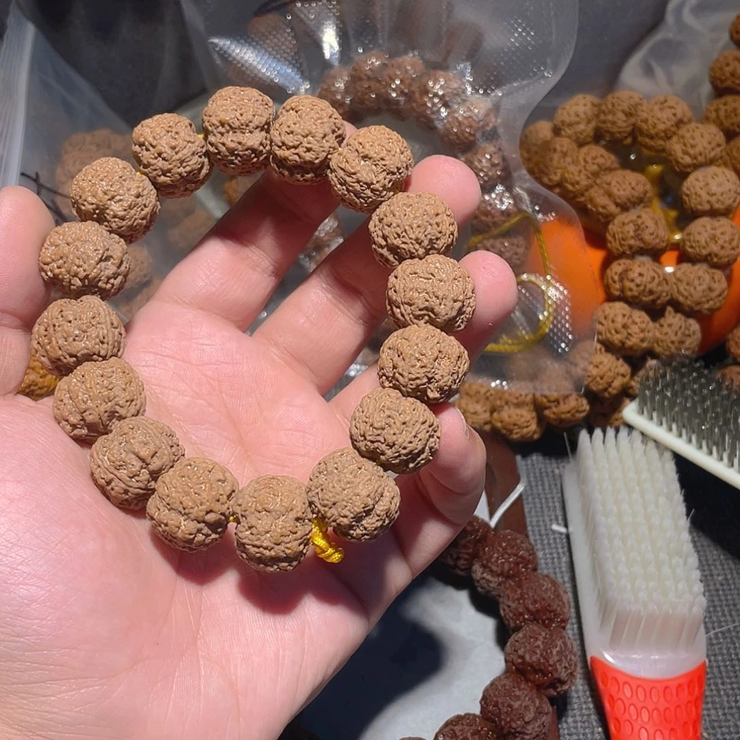 手串金刚菩提鸿****车蜂王