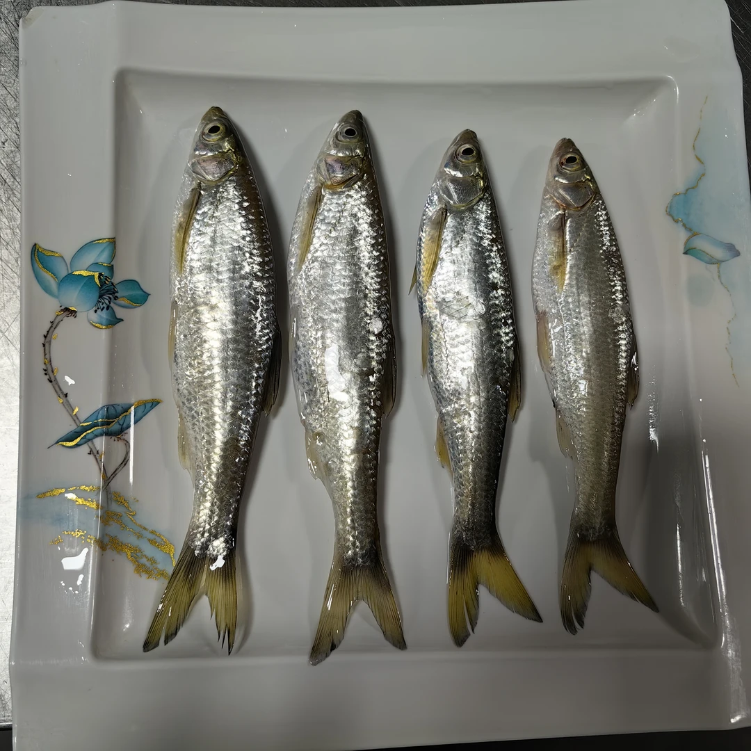 水库白条鱼去内脏真空包装京东包邮到家