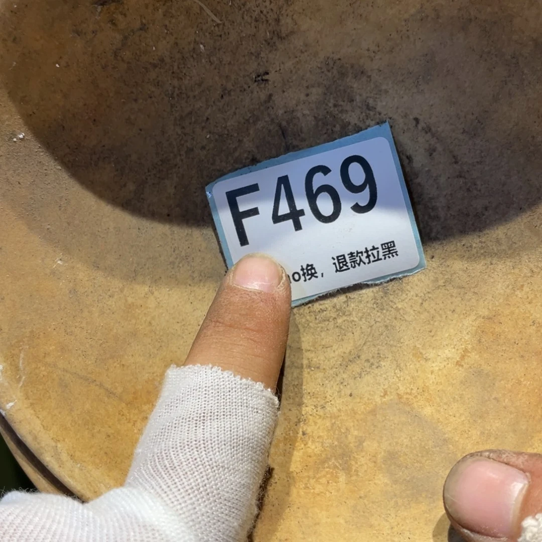 君***兮瓷片表弟链接火爆热卖热卖