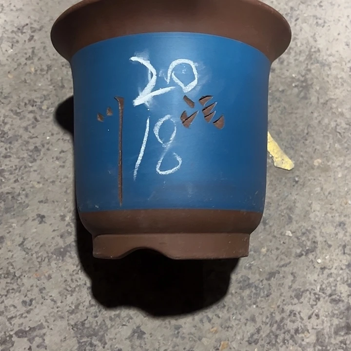 紫砂工艺厂……紫砂工艺厂……