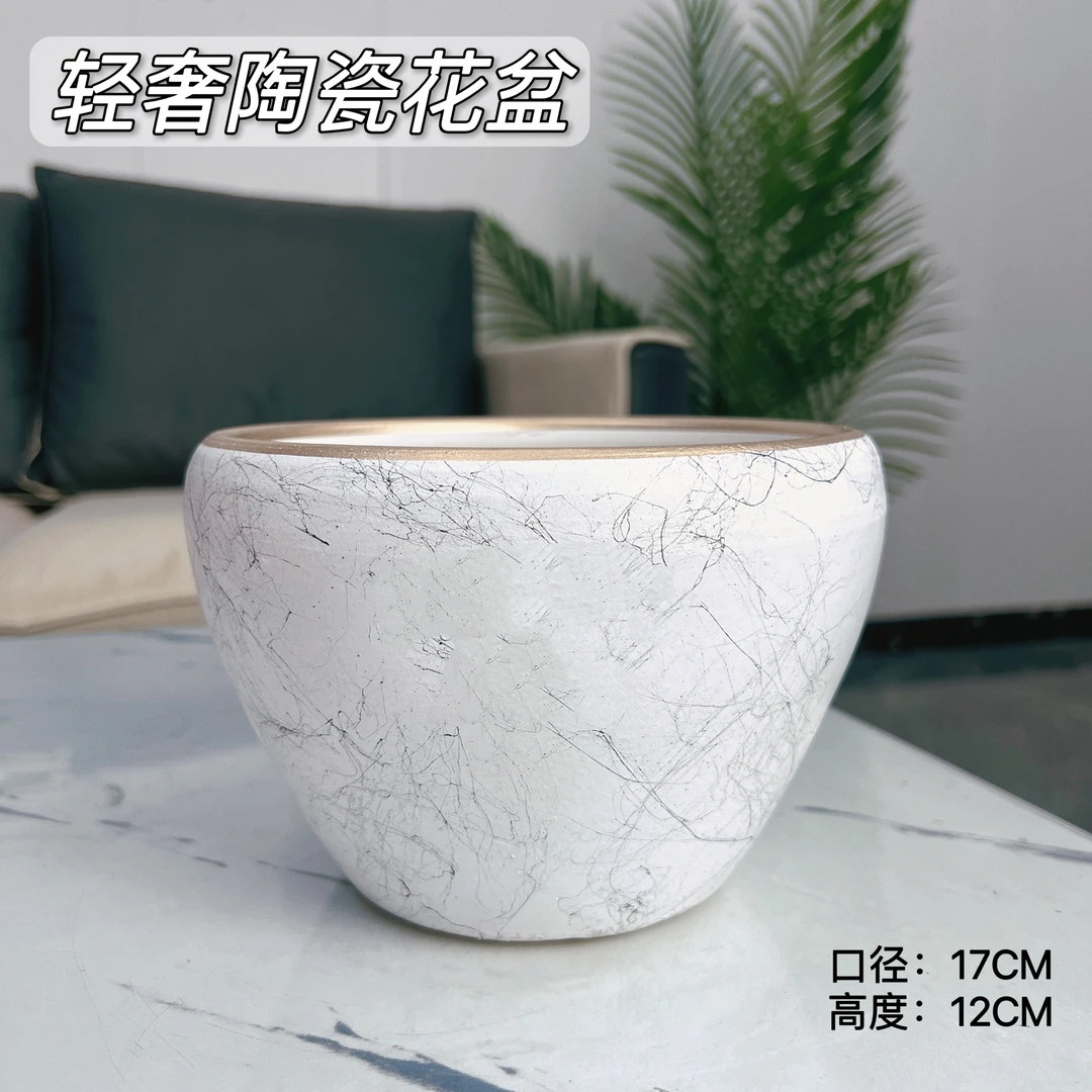 金边飞丝小号苹果口17高12蝴蝶兰花金钱树玫瑰月季陶瓷花盆